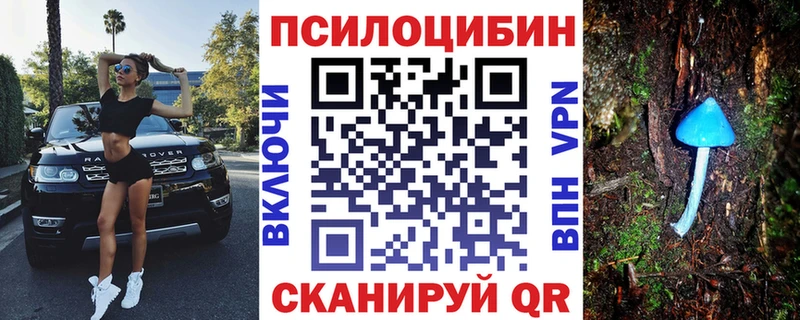 Галлюциногенные грибы Psilocybe  Обнинск 